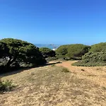 La Sirena Del Viento
