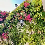 Las Palmas 9A - Oasis Properties
