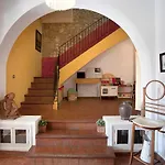 Mas Del Moli