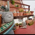 Casa Pura Vida