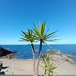 Pura Vida Estano