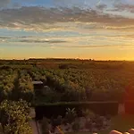 Mas Montbrio Belvedere