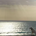 Casa 77, La Playa Mas Bonita A 150 Metros