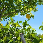 Finca La Parcela - Casa Rural