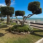 Sea Breeze