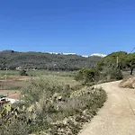 Slow Vejer