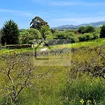 Villa El Tacin De Villaviciosa