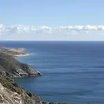 Las Mimosas 20