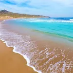 Medusa Dos Mares