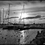 Brisas Del Mar