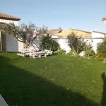 El Olivo