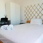 Zapillo 1