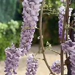Bakea Apto Con Jardin Privado