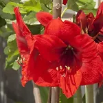 Glorieta - Xeckin Holidays