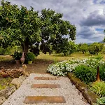 Cubo'S Finca Pati