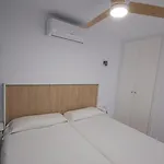 Bonanza 506