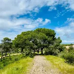 El Rompido