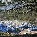 Mi Casa Es Su Casa