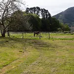 Villa Urdaibai