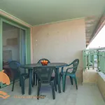 Patacona Green Holiday