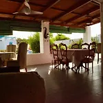 The Dragonfly Retreat