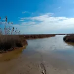 Rincon Del Delta, Apartamento En El Delta Del Ebro, Playa Trabucador Amposta, Tarragona