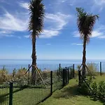 Jacaranda Mar