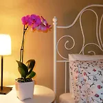 Casa Cotiellu