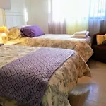 White Heron Apartment In Ronda