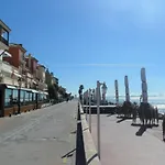 Estudio Marina Puerto Sherry