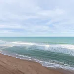 Camomila