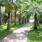 Resort Oasis