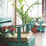 The Lion Fish Hostel