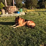 Etxebarri Landetxea