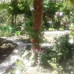 Centr