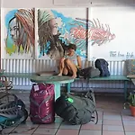 The Lion Fish Hostel