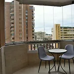 Palmeras Estudio 88