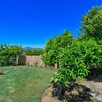 Cubo'S Finca The Orange Tree