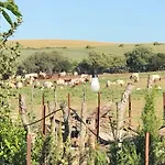 Alojamiento Rural El Soldao