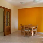 El Mirador