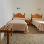 Hostal Paco Pepe