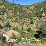 The House Of Oranges