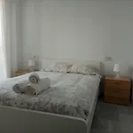 Apartamento Plaza Del Caballo