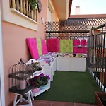 El Olivo De Sara