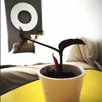 One