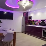Dary Rent Orquidea