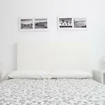 Apartamento Gaviotas