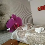 Zen House