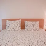 Modern & Spacious Apartment Near La Concha Bay