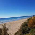 Novo Paradise